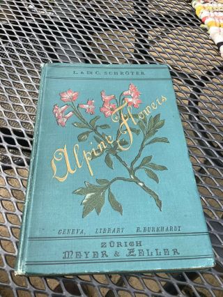 Antique 1892 Alpine Flowers Book By Dr.  C.  Schroter - Coloured Plates