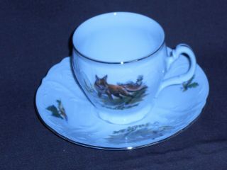 Wildlife Fox Bernadotte Fine China Tea Cup & Saucer Made In The Czech Republic