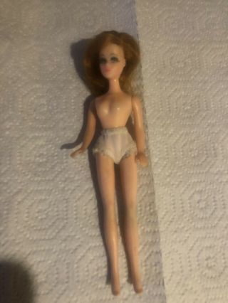 1970 Topper Dawn Doll Side Part Glori S11