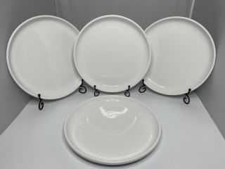 Crate & Barrel Culinary Arts Cafeware Ii White Porcelain Dinner Plate - Set Of 4
