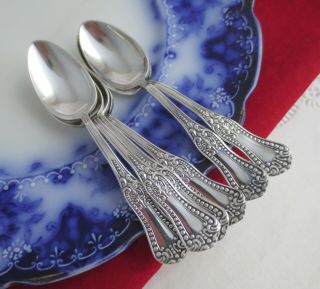 Set Of 6 Antique 1898 Forbes Silver Co.  Clovis Demitasse Coffee Spoons 4 - 1/4 "
