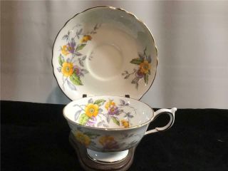 Paragon Teacup & Saucer Purple Yellow Daisy Double Warrant A1849 Majesty Queen