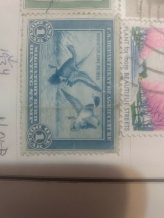 Us Federal Duck Stamp Scott Rw1 $1 1934 Migratory Bird Hunting