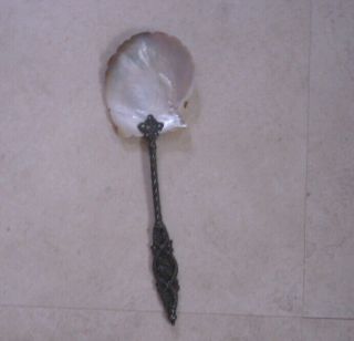 Antique Real Sea Shell Bowl 9.  5 " Silver Plated Serving Spoon Pierced Floral