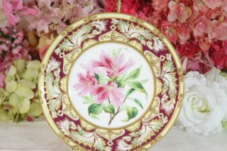 Antique,  English Porcelain Dessert Plate 1 Azalea