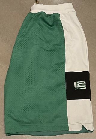Vintage Nike Lebron James Activewear Shorts Size L Green And White