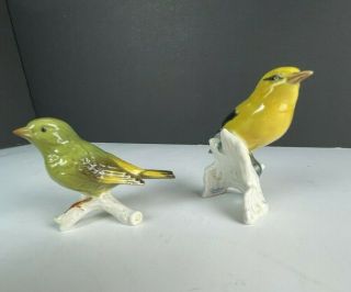 Vintage Goebel W.  Germany Birds On Branch Figurines