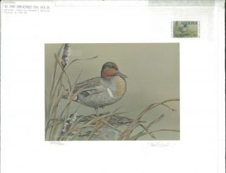 Arizona 2 1988 Duck Stamp Print Green Winged Teal By Sherri Russell Meline