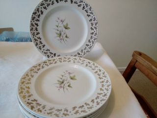 6 Vintage Alfred Meakin Glo - White Dinner Plates Flowers With Gold Patterned Rim
