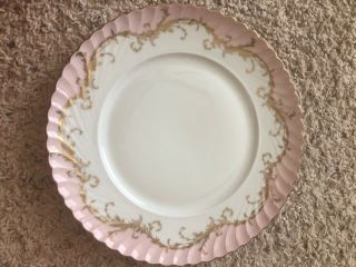 Rare Royal Tettau Pink Rose Dinner Plate Trimmed In Gold Size 10.  62 Inches -