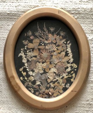 Handmade Antique Vintage Pressed Dried Flower Oval Wall Hanging 3d Picture Frame