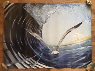 Vintage Surf Art Poster 2006 Papodkis Signed Seagull Tube Apocalypse Vg