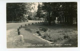 Mi - Vintage Photo Postcard Rppc - Roadside Park,  Oscoda,  Michigan