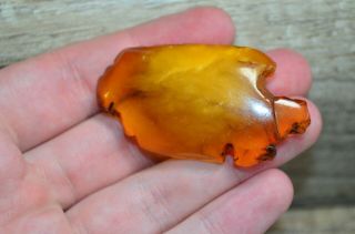 Antique Natural Baltic Amber Brooch Butterscotch Egg Yolk 11,  5g