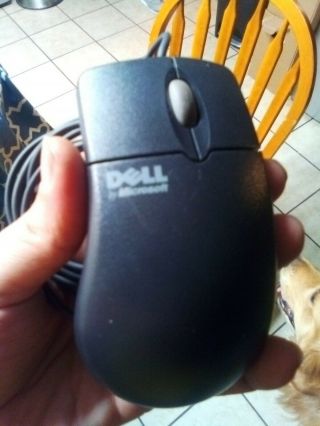 Vintage Dell By Microsoft Intellimouse 1.  3a Ps/2 Mouse X06 - 08477 - Exc