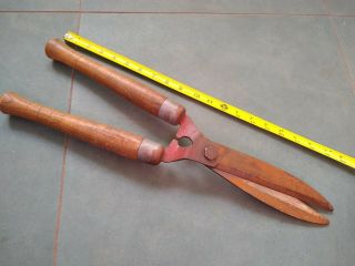 Village Pa - Antique - Hedge Grass Trimmer Shears