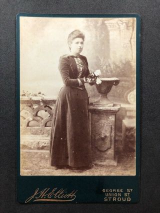 Victorian Photo: Cabinet Card: Lady: Elliot: Stroud: Backdrop Velvet Dress