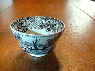 Antique Staffordshire Handleless Cup In Japonica Pattern By John Ridgway
