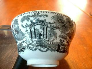 Antique Staffordshire Handleless Cup in Japonica Pattern by John Ridgway 3