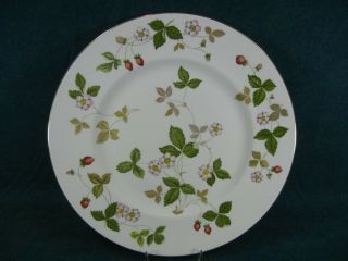 Wedgwood Wild Strawberry 10 3/4 " Dinner Plate (s)