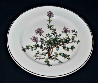 Villeroy & Boch,  Botanica,  Thymus Pulegioides,  No Roots,  Salad Plate,  8 1/4 "