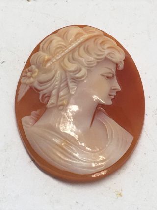 Antique Shell Cameo Hand Carved Woman 1 1/2”x3/4” Vintage