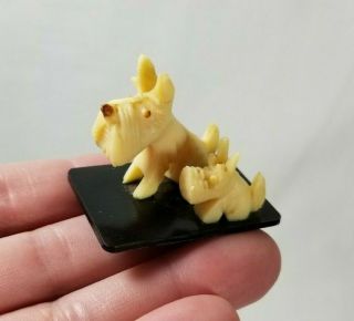 Vintage Miniature Schnauzer Dog And Puppy Figurine Celluloid Plastic Toy Japan