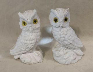 Vintage Snow White Owls Carved Alabaster Stone Yellow Eye