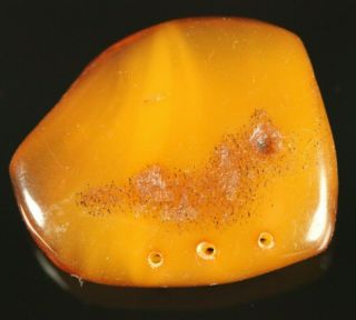 Antique Old 7gr Natural Baltic Amber Stone Brooch C886