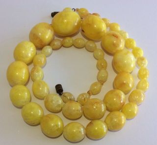 Vintage Jewellery Gorgeous Egg Yolk Amber Early Plastic Bead Long Necklace