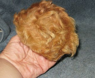 Vintage Terri Lee Jerri Lee Connie Lynn Curly Fur Wig Reddish Blonde 2