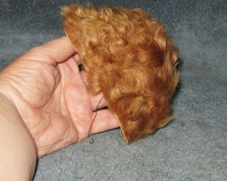 Vintage Terri Lee Jerri Lee Connie Lynn Curly Fur Wig Reddish Blonde 3