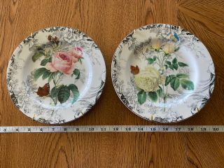 American Atelier Rose Toile Porcelain 8 " Plates Pink Rose & Yellow Flower (2)