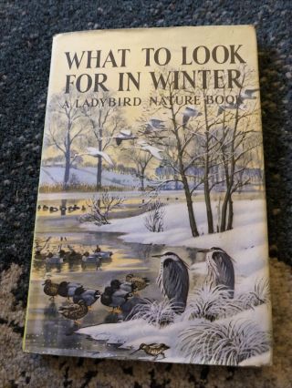Vintage Ladybird What To Look For In Winter Dust Jacket Vgc 2’6 Net