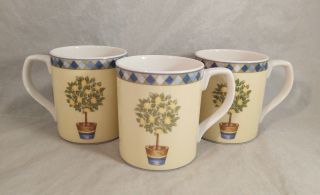 Set Of 3 Royal Doulton Carmina Mugs