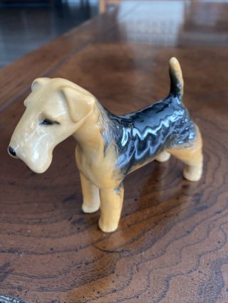 Beswick English Porcelain Gloss Airedale Terrier Dog Figurine 3 3/8 " H X 4 " La1