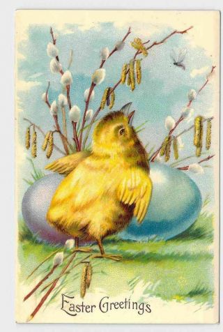 Antique Postcard Easter Chickens Chicks Pussy Willow Eggs Easter Greetings