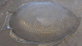Oven Proof Clear Pressed Glass Fish Shaped Platter Plate Large 15 " X 11 "