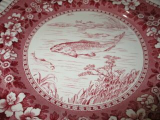 JD - SPODE ' S TOWER PINK SPODE TOWER RARE GAME FISH CENTER DINNER PLATE 3