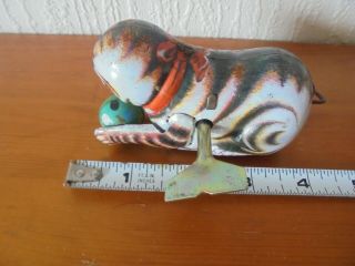 SERIOUSLY SCARCE VINTAGE CLOCKWORK TIN PLATE TIGER WITH BALL (WITH KEY) 3