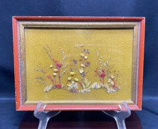 Vintage 6x8 Framed Dried Flowers Picture