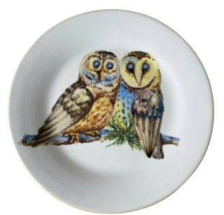 Sur La Table Owl Dinner Plate 8 5/8” Made Italy Ceramic Yellow Blue Collectible
