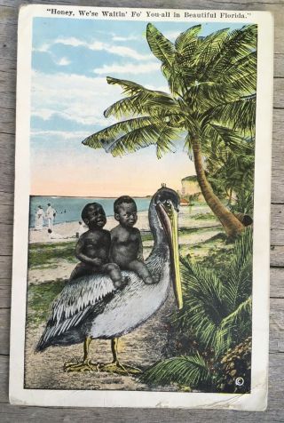 Florida Postcard 2 Boys Ride Pelican 1924 Vtg Black Americana 1925