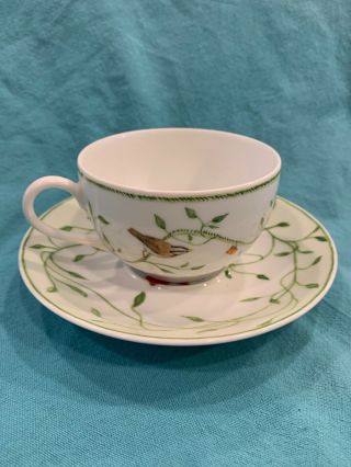 Raynaud Limoges Histoire Naturelle Cup And Saucer