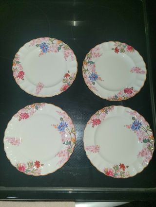 4 Copeland Spode Chelsea Gardens R9781 Bread And Butter Plates
