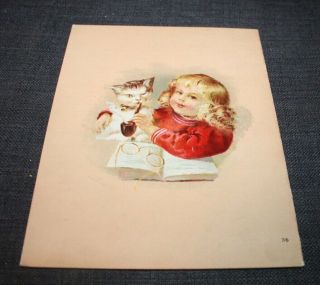 Antique 1911 Children ' s Book BABY BUNTING ABC 2