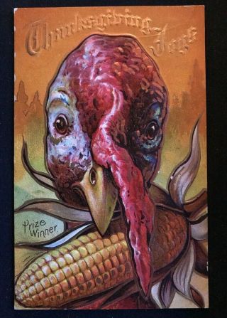 Antique Thanksgiving Postcard Large Turkey With Corn H366