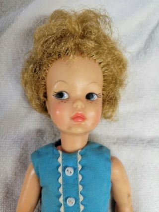 Vintage Ideal Tammy Family Pepper Doll 1