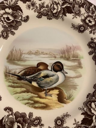 Spode Woodland Pintail Game Bird,  England: Dinner Plate 10.  5 In Diameter