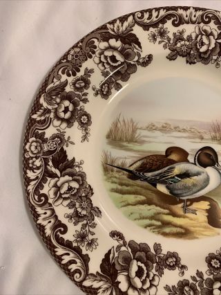Spode Woodland Pintail Game Bird,  England: Dinner Plate 10.  5 In Diameter 3